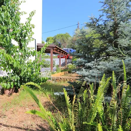 With Parking Space Okrug Gornji, Ciovo - 19762 Διαμέρισμα *